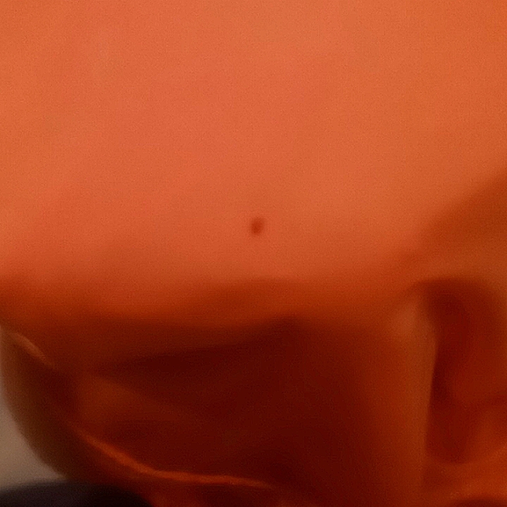 Polo Ralph Lauren Cargo Pants - Picture 5 of 5